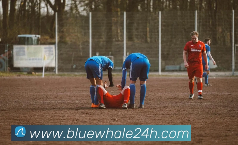 爱游戏登录ayxAPP 封面图