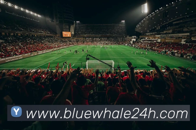 数据防护可视化